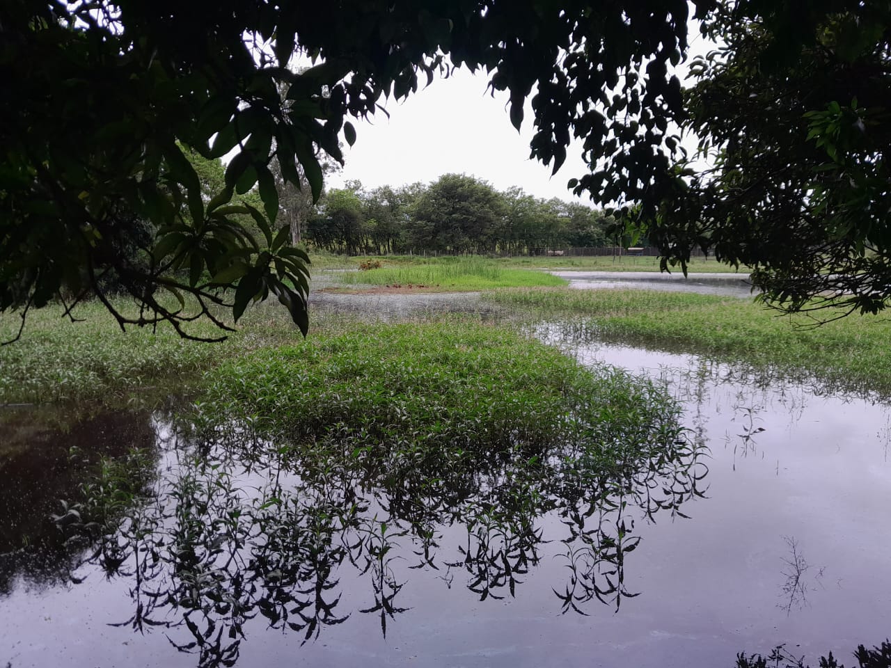 WhatsApp Image 2024-02-16 at 07.45.54 (3)